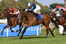 Ippodromo Capannelle: il programmo di sabato 7 (trotto) e domenica 8 maggio (galoppo)