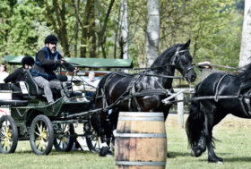 Un buon inizio di Primavera