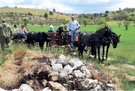Lungo i tratturi Pugliesi