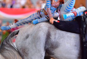 CVI Kaposvar, ecco la rappresentativa italiana in gara