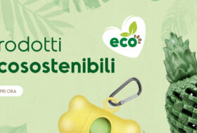 Pet Fashion: Prodotti ecosostenibili Record e Top seller Cani e Gatti