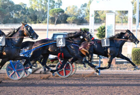 Capannelle chiude la stagione con i successi di Callmethebreeze nel Triossi, Bleff Dipa nel Turilli e Crystal Pan nel Carena