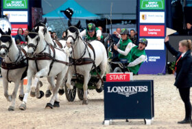 Sport a tutto campo: Un olandese “volante”!