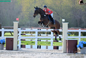 Concluso a San Giovanni in Marignano il secondo Test Event Giovanile e Pony