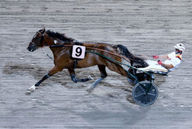 Ippodromo Cesena Trotto: resoconto delle corse di venerdì 1 luglio 2022