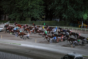 Ippodromo Cesena Trotto: presentazione delle corse di venerdì 1 luglio, corsa Tris – inizio ore 21