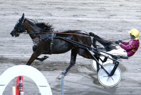 Ippodromo Cesena Trotto: resoconto delle corse di sabato 16 luglio 2022