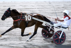 Ippodromo Cesena Trotto: resoconto delle corse di venerdì 29 luglio 2022