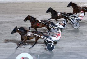 Ippodromo Cesena Trotto: presentazione delle corse di sabato 27 agosto 2021