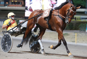 Ippodromo Cesena Trotto: resoconto delle corse di sabato 6 agosto 2022