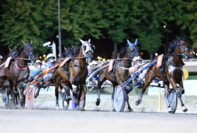Ippodromo Cesena Trotto: presentazione delle corse di venerdì 5 agosto 2022