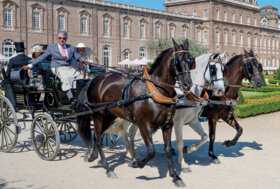 Attacchi: L’AIAT di nuovo in reggia