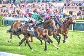 Ippodromo Capannelle: Domenica 25 torna a Capannelle il campione Tempesti nel Premio Scheibler