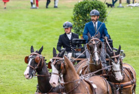 Attacchi: Complimenti Luca e grazie!