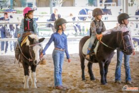 Fise Lombardia: Campionato Pony Reining e Avviamento 2022