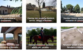 Inserisci un Annuncio e Promuovi la tua Attività Gratis!