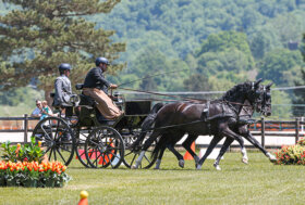 Cei, Dibak e Formia nel CAI3* di Lipizza