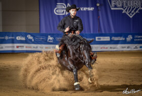 Assegnati i primi titoli nel Campionato Italiano Elementa IRHA/FISE