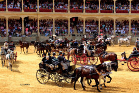 Attacchi: Dal “terrazzo” dell’Andalusia