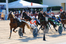 Ippodromo Arcoveggio Bologna: presentazione delle corse di sabato 19 novembre, inizio ore 13.30