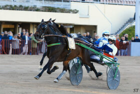 Ippodromo Arcoveggio Bologna: resoconto delle corse di sabato 5 novembre 2022