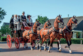 Attacchi: Coaching d’eccellenza