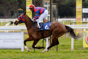 Le corse a San Rossore: venerdì 6 gennaio 2023