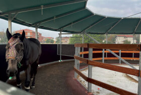 Tutti in giostra! Alcuni consigli da Nord Piave esperti di strutture per l’ippica