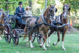 Attacchi: Tutti in carrozza, eterna magia