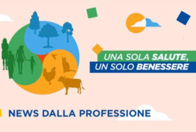 FNOVI: Una sola salute, un solo benessere