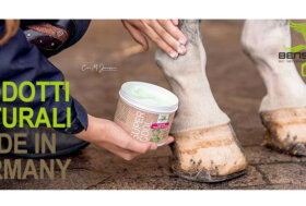 12% Extra Sconto con Tessera Premium | 10% Extra Sconto per tutti codice SALDI23