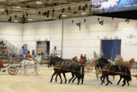 Attacchi… sempre una Meraviglia!