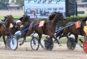 Arcoveggio: presentazione delle corse di giovedì 2 marzo