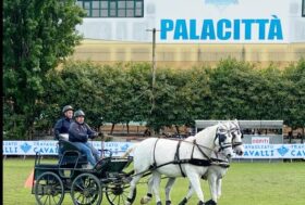 Successo per il Trofeo di Sport Amatoriale ‘Citta’ di Travagliato”