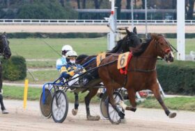 Arcoveggio: Presentazione delle corse di domenica 28 maggio