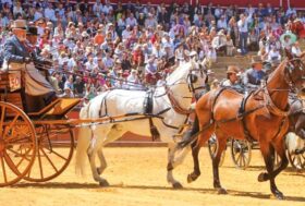 Attacchi: Cornice incomparabile