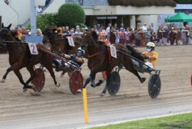 Arcoveggio: Resoconto corse di venerdì 2 giugno – GRAN PREMIO DELLA REPUBBLICA