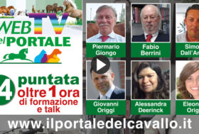 Rivedi subito la 14a puntata della WebTV.