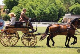 I “Cocchi” di Firenze