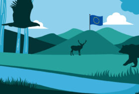 Nature Restoration Law: il Parlamento Europeo approva ma con una limitata maggioranza di voti