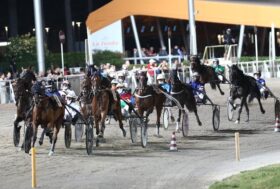 Ippodromo Cesena Trotto: presentazione delle corse di venerdì 4 agosto