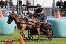 Attacchi: Trofeo “Città di Travagliato”