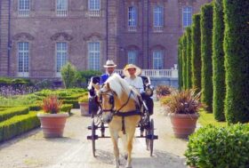 Attacchi: Come in un dipinto…