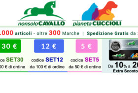 Continua la SuperPromo di -30 -12 e -5 Euro… non fartela scappare