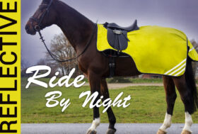 A cavallo by Night? Scopri come! Vetrina delle Novità e dei top Seller