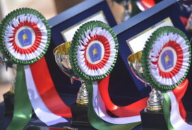 Conclusi i Campionati Centro Settentrionali e Centro Meridionali di salto ostacoli