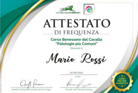 10 Corsi del Portale. Dedicati alla salute e al benessere di cavallo e cavaliere. Sfrutta lo sconto del 20%