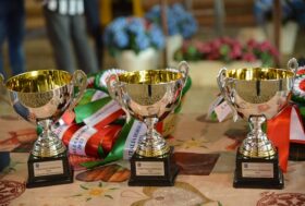 Successo per la Coppa Italia Horseball Pony e Senior Misto