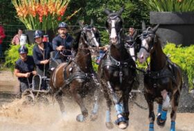 Attacchi: Sport a tutto campo. Palcoscenico Internazionale