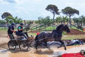 Attacchi: Una calda estate sportiva